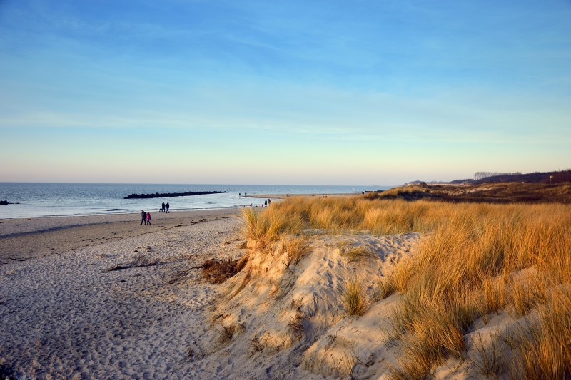 Dünen an der Ostseeküste